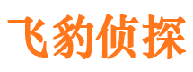 江北市侦探调查公司